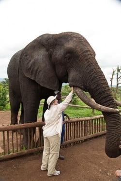 photo-safari-10