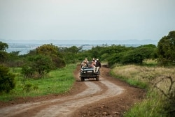 photo-safari-17