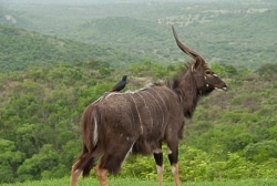 photo-safari-2