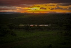 photo-safari-22