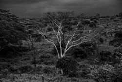 photo-safari-7