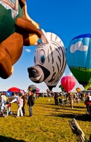 balloon-16-of-17