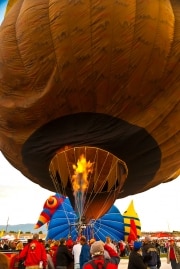 balloon-6-of-17