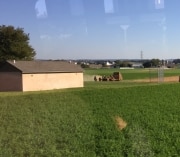 amish - 1