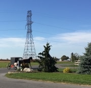 amish - 4