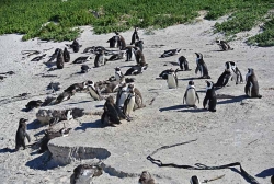 cape-town-24