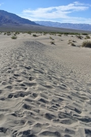 DEATH VALLEY NOV 2012-11.jpg