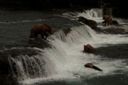 alaska-19-of-40