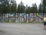 signpost forest