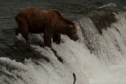 alaska-21-of-40