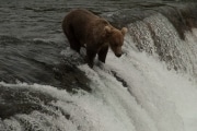 alaska-22-of-40