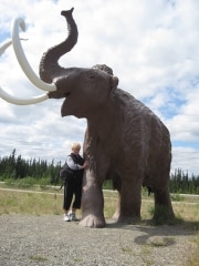 whitehorse museum
