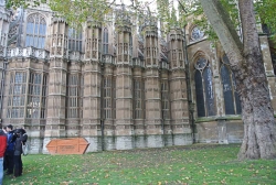 london-photo-safari-11