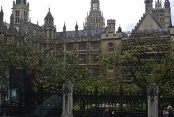 london-photo-safari-18