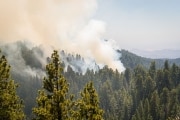 national-parks-sequoia-17