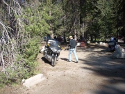 national-parks-sequoia-6