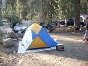 national-parks-sequoia-8