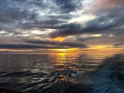 Mexico-Nuevo-Vallarta-2019-44-of-44