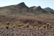 quartzsite_2-66