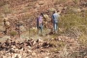 quartzsite_2-77