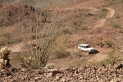 quartzsite_2-94_1