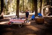 yosemite-tioga-10