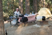 yosemite-tioga-5