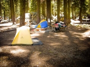 yosemite-tioga-9
